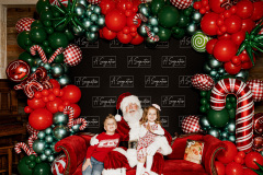 Storytime-with-Santa-Herff-Farm-A-Signature-Production-29