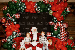 Storytime-with-Santa-Herff-Farm-A-Signature-Production-44