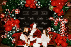 Storytime-with-Santa-Herff-Farm-A-Signature-Production-58