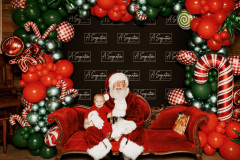 Storytime-with-Santa-Herff-Farm-A-Signature-Production-71